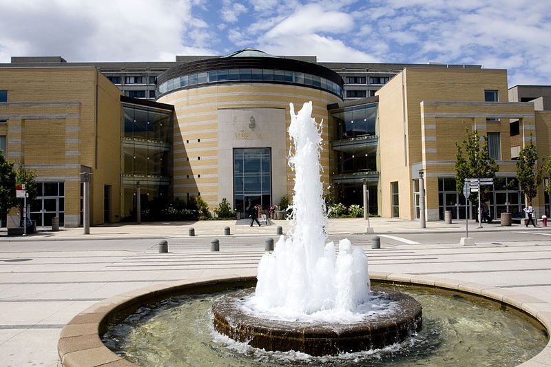 Языковой лагерь в York University
